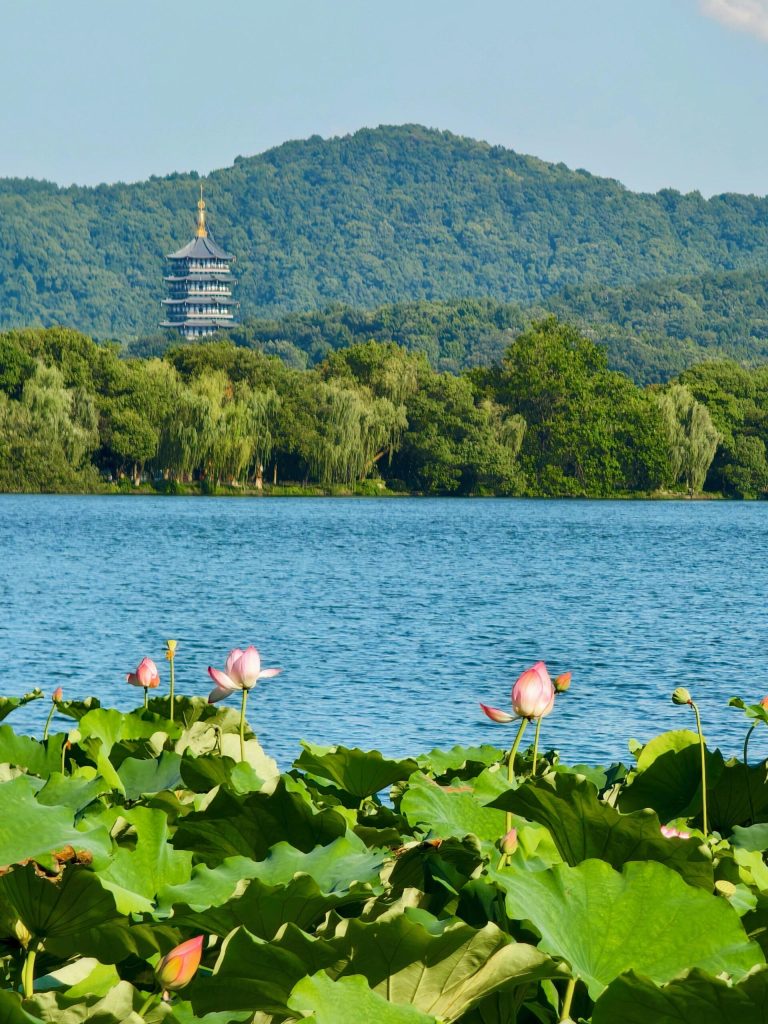 杭州西湖边的9家必住星级酒店:湖光山色中的奢华体验插图 杭州西湖边的9家必住星级酒店:湖光山色中的奢华体验插图