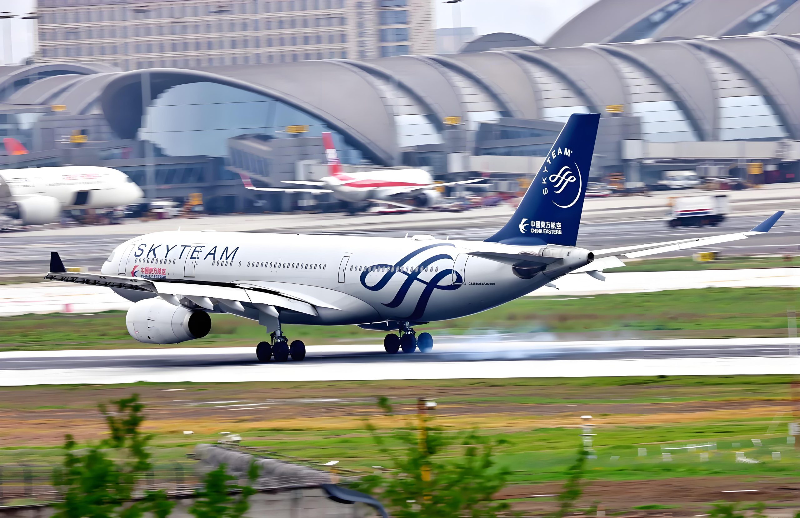 🌍 厦门航空×天合联盟：翱翔天际的环球旅行生态圈缩略图