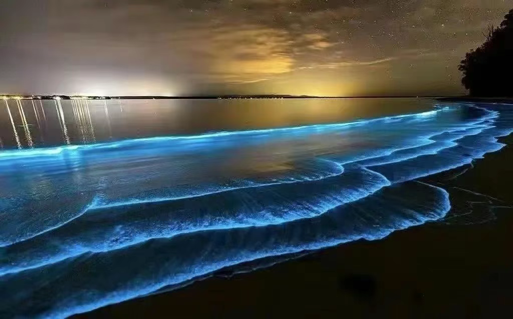 🌊东山岛2025玩法大公开：小众海岛的N种浪漫打开方式插图4