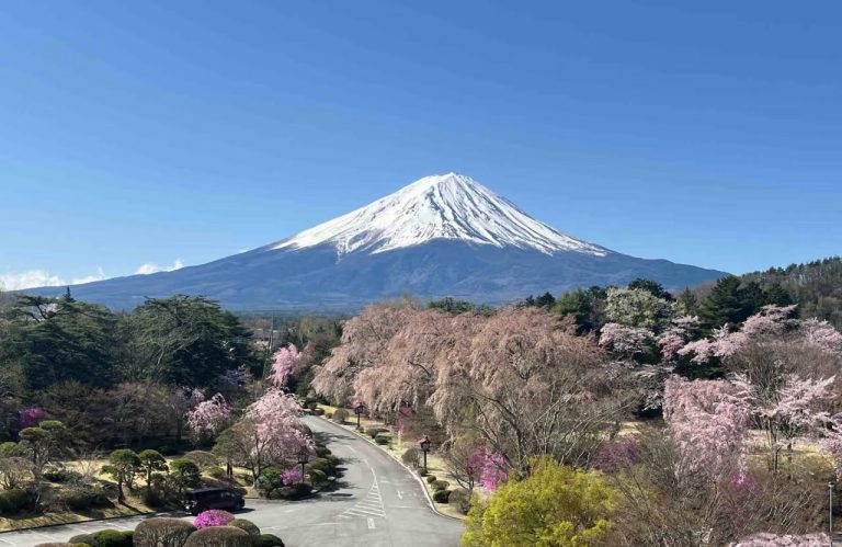 虹夕诺雅的魔法：在富士山脚下，我与一座山交换了三天的寂静